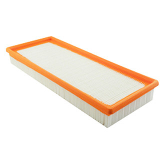 Baldwin Filters® - Air Filter Element