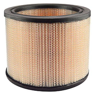 Baldwin Filters® - Air Filter Element