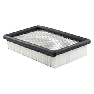 Baldwin Filters® - Air Filter Element