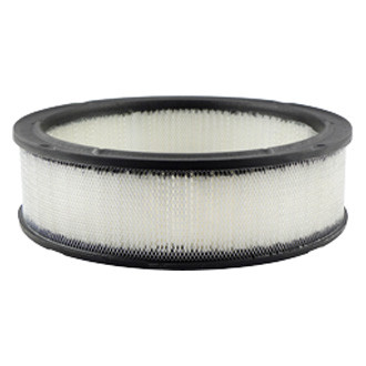 Baldwin Filters® - Air Filter Element
