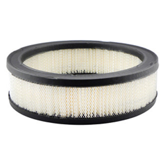 Baldwin Filters® - Air Filter Element