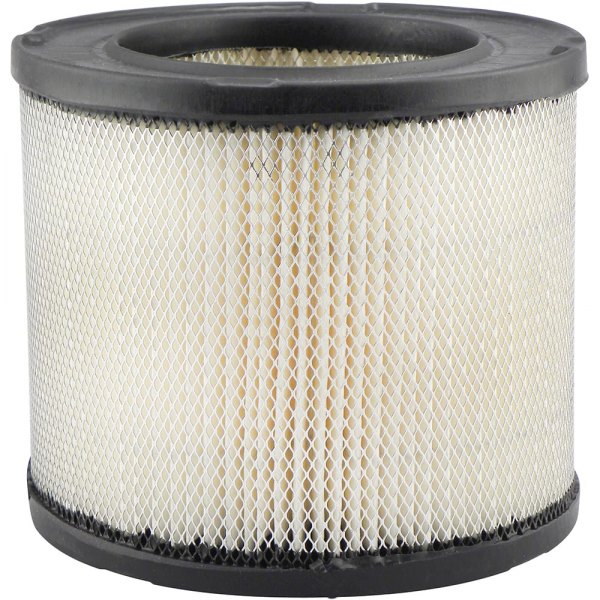 Baldwin Filters® - Radial Seal Air Filter