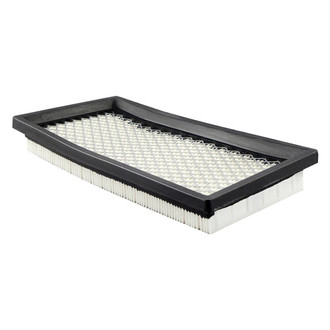 Baldwin Filters® - Air Filter Element