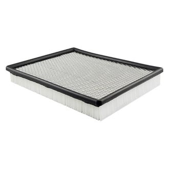 Baldwin Filters® - Air Filter Element