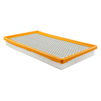 Baldwin Filters® - Panel Air Filter