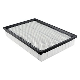 Baldwin Filters® - Panel Air Filter