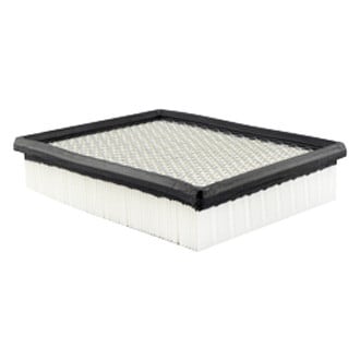 Baldwin Filters® - Air Filter Element