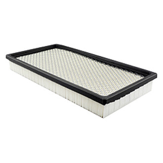Baldwin Filters® - Panel Air Filter