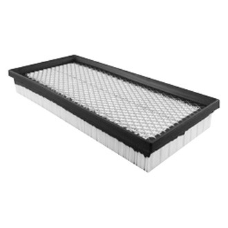 Baldwin Filters® - Air Filter Element