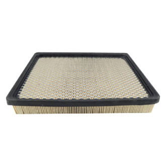 Baldwin Filters® - Air Filter Element