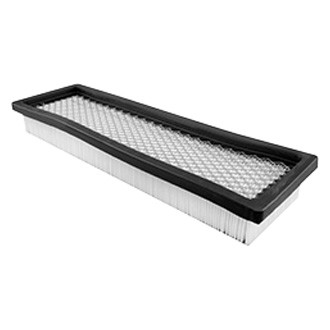 Baldwin Filters® - Air Filter Element