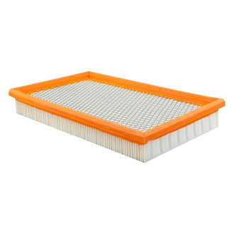 Baldwin Filters® - Radial Seal Air Filter