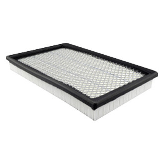 Baldwin Filters® - Panel Air Filter
