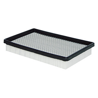 Baldwin Filters® - Panel Air Filter