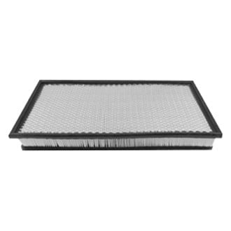 Baldwin Filters® - Air Filter Element with Foam Pad