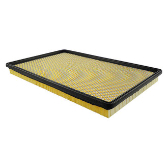 Baldwin Filters® - Air Filter Element