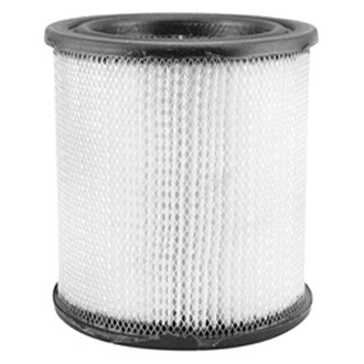 Baldwin Filters® - Air Filter Element