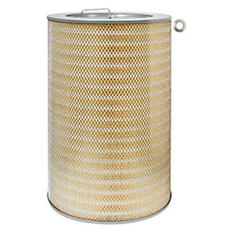 Baldwin Filters® - Air Filter Element with Lift Tabs