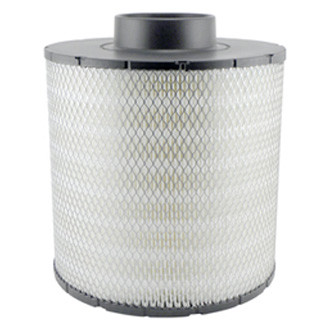 Baldwin Filters® - Air Filter Element