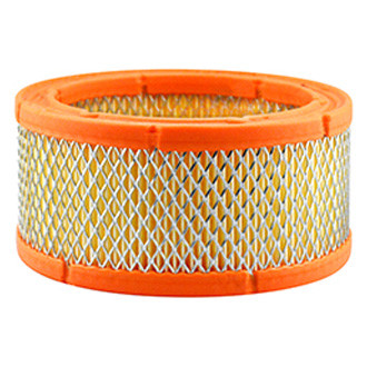 Baldwin Filters® - Air Filter Element