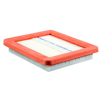 Baldwin Filters® - Air Filter Element