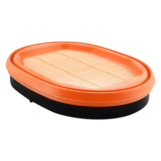 Baldwin Filters® - Air Filter Element