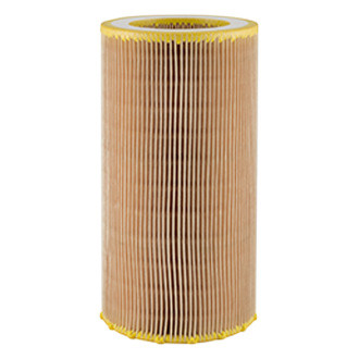 Baldwin Filters® - Air Filter Element