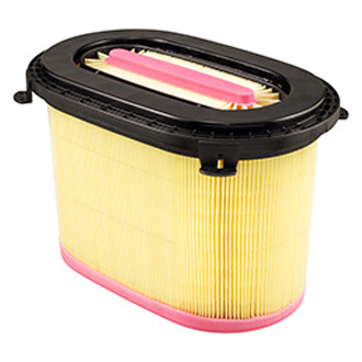 Baldwin Filters® - Air Filter Element with Lift Tabs