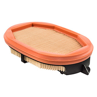 Baldwin Filters® - Radial Seal Air Filter Element with Fins