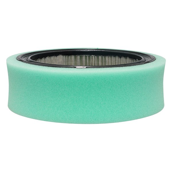 Baldwin Filters® PA30189 Air Filter Element with Foam Wrap & Bolt Hole