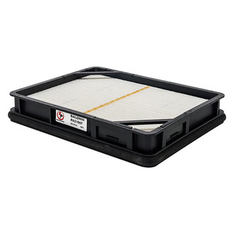 Baldwin Filters® - Secondary Endura Air Filter Element