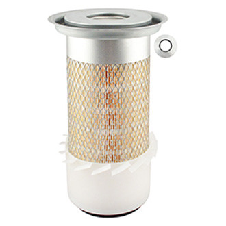 Baldwin Filters® - Air Filter Element