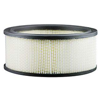 Baldwin Filters® - Air Filter Element