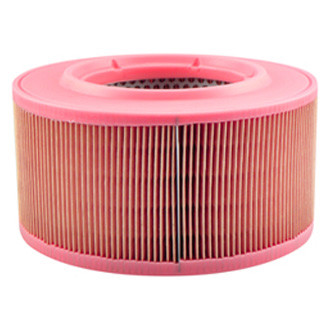Baldwin Filters® - Air Filter Element