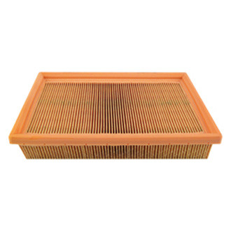 Baldwin Filters® - Panel Air Filter Element