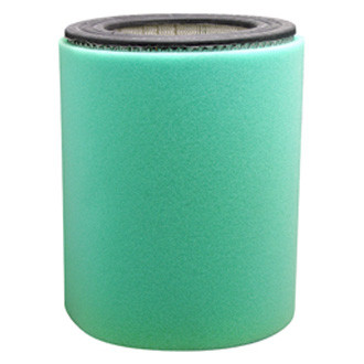 Baldwin Filters® - Air Filter Element