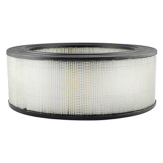 Baldwin Filters® - Air Filter Element