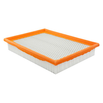 Baldwin Filters® - Air Filter Element