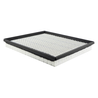 Baldwin Filters® - Air Filter Element