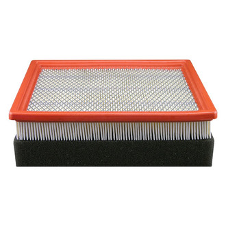 Baldwin Filters® - Air Filter Element with Foam Pad
