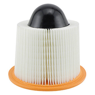 Baldwin Filters® - Air Filter Element