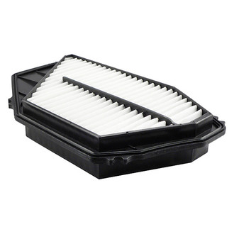 Baldwin Filters® - Air Filter Element