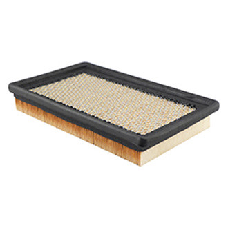 Baldwin Filters® - Air Filter Element