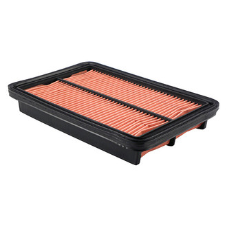 Baldwin Filters® - Air Filter Element