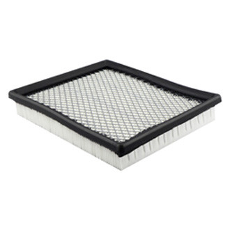 Baldwin Filters® - Air Filter Element