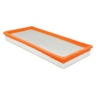 Baldwin Filters® - Air Filter Element with Foam Pad