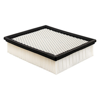 Baldwin Filters® - Air Filter Element