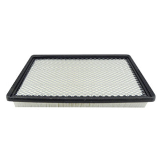 Baldwin Filters® - Air Filter Element