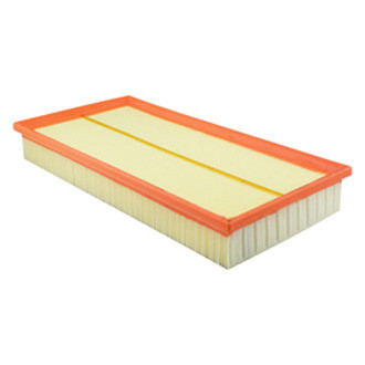 Baldwin Filters® - Air Filter Element