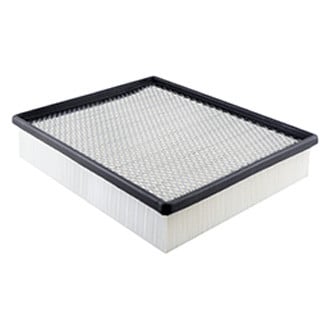 Baldwin Filters® - Panel Air Filter